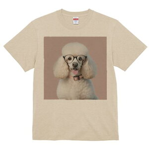 TVc Y LbY t@  t  vg JWA 킢 lԗp tBbglX _X Kl v[h sN̎ X}C