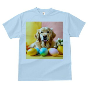 TVc Y LbY t@  t  vg JWA 킢 lԗp tBbglX _X C[X^[GbO S[fgo[ ԑ F sN