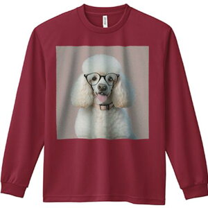 TVc lԗp Y Ht vg W[ AEghA JWA 킢 t@ Kl v[h sN̎ X}C