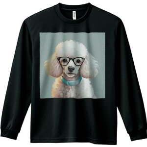 TVc lԗp Y Ht vg W[ AEghA JWA 킢 t@ Kl v[h 