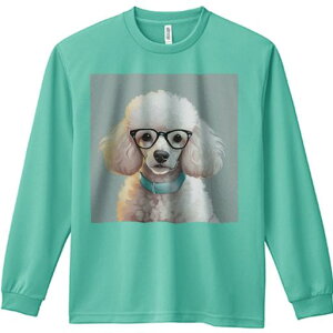 TVc lԗp Y Ht vg W[ AEghA JWA 킢 t@ Kl v[h 