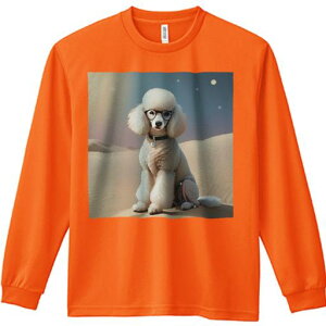 TVc lԗp Y Ht vg W[ AEghA JWA 킢 t@  v[h Kl 