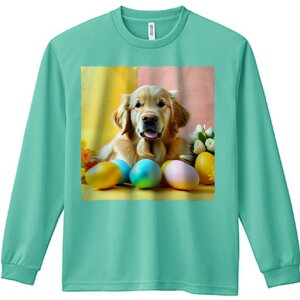 TVc lԗp Y Ht vg W[ AEghA JWA 킢 t@ C[X^[GbO S[fgo[ ԑ F sN