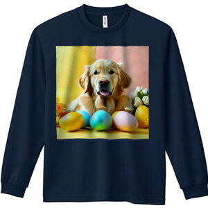 TVc lԗp Y Ht vg W[ AEghA JWA 킢 t@ C[X^[GbO S[fgo[ ԑ F sN