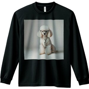 TVc lԗp Y Ht vg W[ AEghA JWA 킢 t@ Kl v[h Z[^[