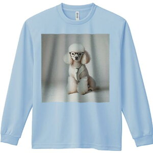 TVc lԗp Y Ht vg W[ AEghA JWA 킢 t@ Kl v[h Z[^[