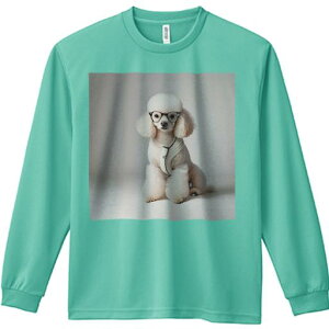 TVc lԗp Y Ht vg W[ AEghA JWA 킢 t@ Kl v[h Z[^[