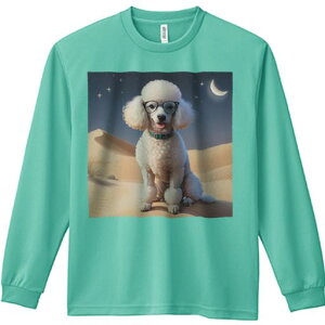 TVc lԗp Y Ht vg W[ AEghA JWA 킢 t@ Kl v[h O  