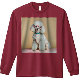 TVc lԗp Y Ht vg W[ AEghA JWA 킢 t@ sÑKl v[h 