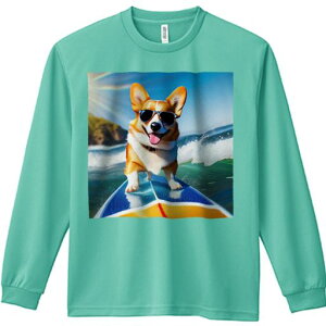 TVc lԗp Y Ht vg W[ AEghA JWA 킢 t@ T[t{[h R[M[ C TOX g