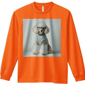 TVc lԗp Y Ht vg W[ AEghA JWA 킢 t@ Kl v[h Z[^[