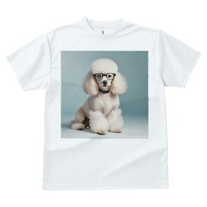 TVc Y LbY t@  t  vg JWA 킢 lԗp tBbglX _X Kl v[h 