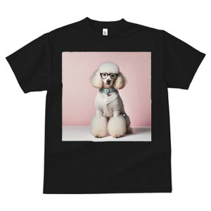 TVc Y LbY t@  t  vg JWA 킢 lԗp tBbglX _X Kl v[h  sN̔wi