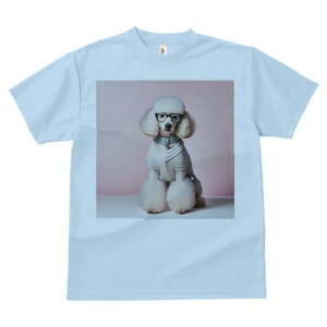 TVc Y LbY t@  t  vg JWA 킢 lԗp tBbglX _X Kl v[h  sN̔wi