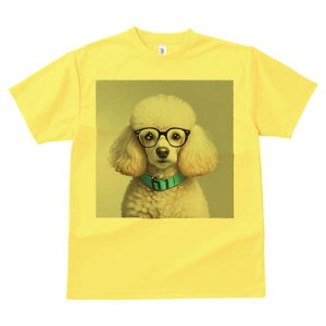 TVc Y LbY t@  t  vg JWA 킢 lԗp tBbglX _X Kl v[h u[̎ t@bV  