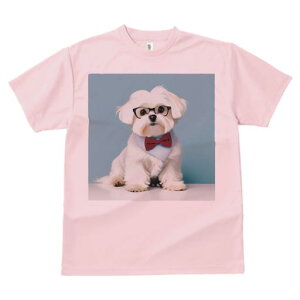 TVc Y LbY t@  t  vg JWA 킢 lԗp tBbglX _X ዾ }`[Y lN^C 炵  wi