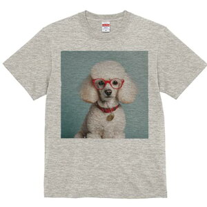 TVc Y LbY t@  t  vg JWA 킢 lԗp tBbglX _X Kl v[h Ԃ _