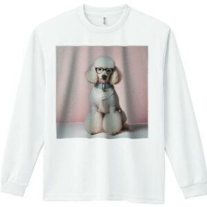 TVc lԗp Y Ht vg W[ AEghA JWA 킢 t@ Kl v[h  sN̔wi