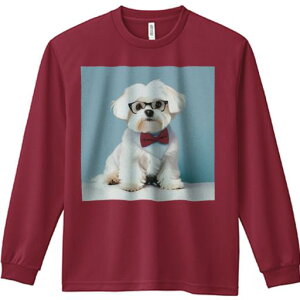 TVc lԗp Y Ht vg W[ AEghA JWA 킢 t@ ዾ }`[Y lN^C 炵  wi