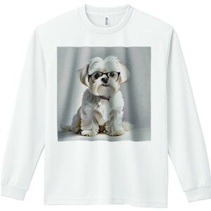 TVc lԗp Y Ht vg W[ AEghA JWA 킢 t@ Kl }`[Y