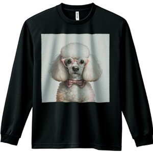 TVc lԗp Y Ht vg W[ AEghA JWA 킢 t@ ዾ v[h lN^C