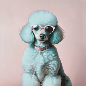 ዾ v[h sN  NbVJo[ 45×45cm Aj}   NbV{̕t ` t@