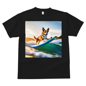 TVc Y LbY t@  t  vg JWA 킢 lԗp tBbglX _X T[tB R[M[  C g y