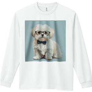 TVc lԗp Y Ht vg W[ AEghA JWA 킢 t@ Kl }`[Y lN^C