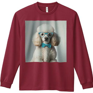 TVc lԗp Y Ht vg W[ AEghA JWA 킢 t@ ዾ v[h lN^C