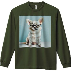 TVc lԗp Y Ht vg W[ AEghA JWA 킢 t@ Kl `