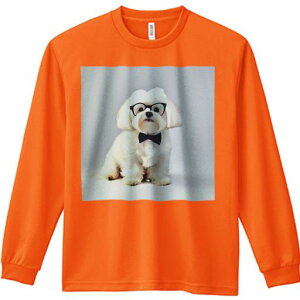 TVc lԗp Y Ht vg W[ AEghA JWA 킢 t@ Kl }`[Y lN^C