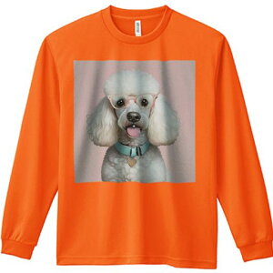 TVc lԗp Y Ht vg W[ AEghA JWA 킢 t@ Kl v[h { n[g^̃^O