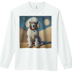 TVc lԗp Y Ht vg W[ AEghA JWA 킢 t@ Kl v[h    