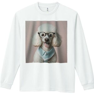 TVc lԗp Y Ht vg W[ AEghA JWA 킢 t@ Kl v[h lN^C Z[^[