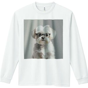 TVc lԗp Y Ht vg W[ AEghA JWA 킢 t@ Kl }`[Y