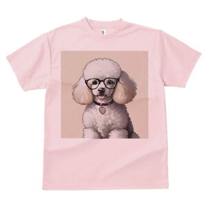 TVc Y LbY t@  t  vg JWA 킢 lԗp tBbglX _X Kl v[h n[g̎