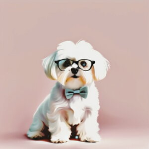 ዾ }`[Y lN^C sN̔wi NbVJo[ 45×45cm Aj}   NbV{̕t ` t@