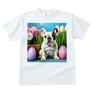 TVc Y LbY t@  t  vg JWA 킢 lԗp tBbglX _X  t`uhbO C[X^[GbO A 