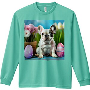 TVc lԗp Y Ht vg W[ AEghA JWA 킢 t@  t`uhbO C[X^[GbO A 