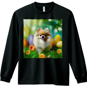 TVc lԗp Y Ht vg W[ AEghA JWA 킢 t@ Jtȗ C[X^[ |jA  ΂̑