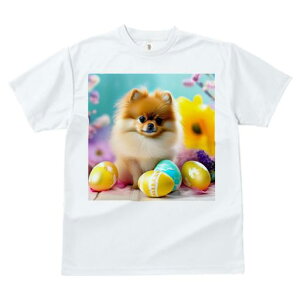 TVc Y LbY t@  t  vg JWA 킢 lԗp tBbglX _X C[X^[GbO |jA  t[AWg t