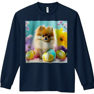 TVc lԗp Y Ht vg W[ AEghA JWA 킢 t@ C[X^[GbO |jA  t[AWg t