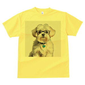 TVc Y LbY t@  t  vg JWA 킢 lԗp tBbglX _X Kl }`[Y n[g̎