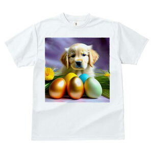 TVc Y LbY t@  t  vg JWA 킢 lԗp tBbglX _X  S[fgo[  