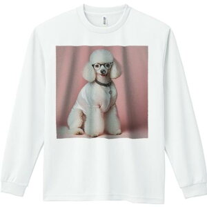 TVc lԗp Y Ht vg W[ AEghA JWA 킢 t@ Kl v[h sN̔wi 