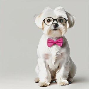 Kl }`[Y sN̒lN^C NbVJo[ 45×45cm Aj}   NbV{̕t ` t@