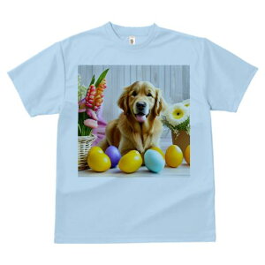 TVc Y LbY t@  t  vg JWA 킢 lԗp tBbglX _X  S[fg[o[ C[X^[GbO  ؂̕