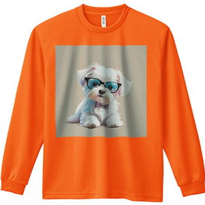 TVc lԗp Y Ht vg W[ AEghA JWA 킢 t@ Kl }`[Y lN^C