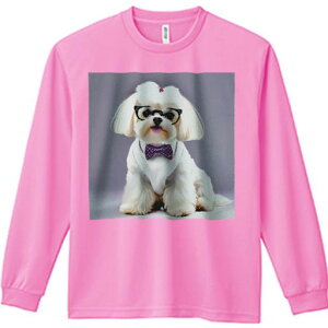 TVc lԗp Y Ht vg W[ AEghA JWA 킢 t@ ዾ }`[Y lN^C 