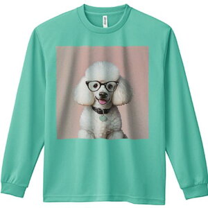 TVc lԗp Y Ht vg W[ AEghA JWA 킢 t@ Kl v[h n[g̎ sN̔wi